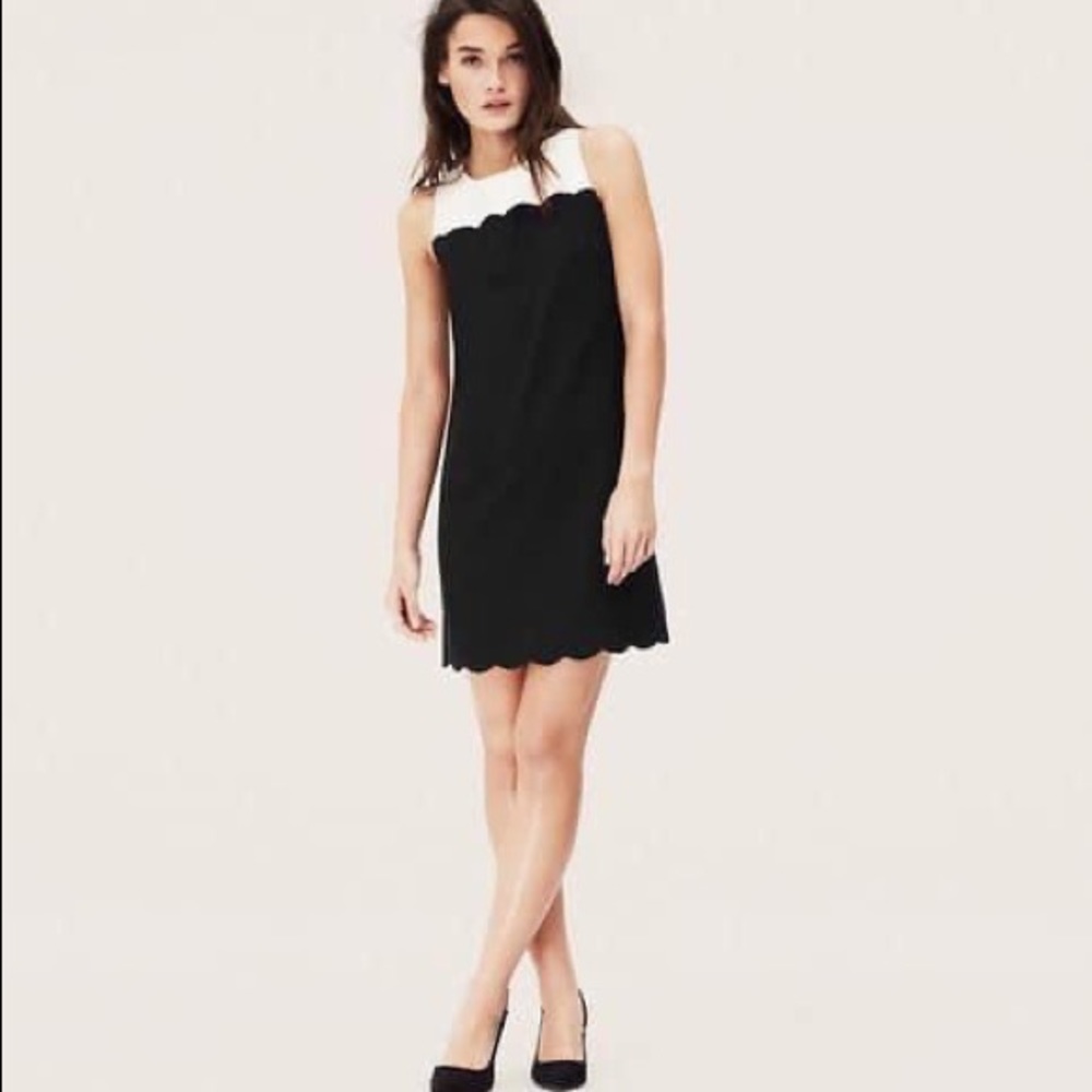 Loft Dress with scallop detail